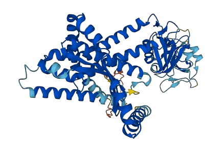 MBTPS2 3D structure