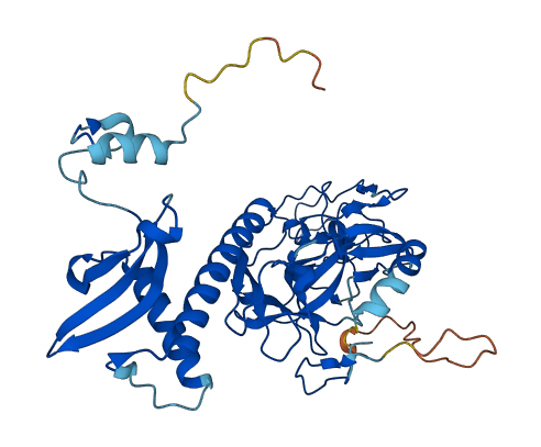 SUV39H1 3D structure