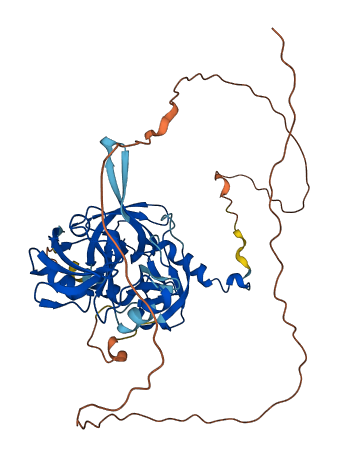 HTRA2 3D structure