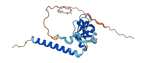 OIP5 3D structure