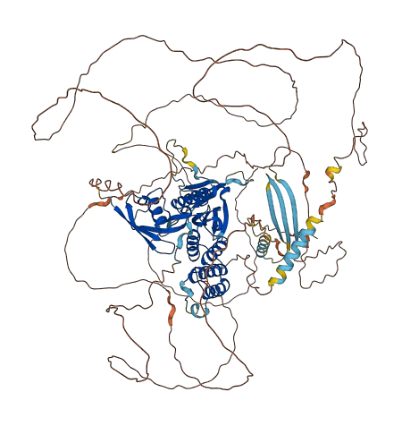 EPB41L2 3D structure