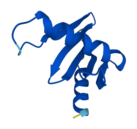 LAMTOR5 3D structure