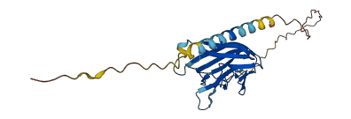 TNFSF12 3D structure