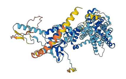SLC26A4 3D structure