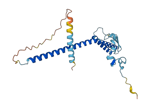 MED7 3D structure