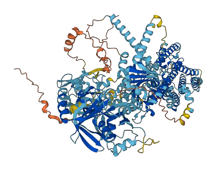 ATP8B1 3D structure