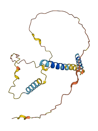 BCL2L11 3D structure