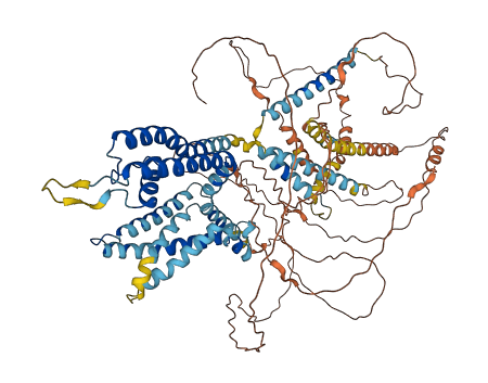 KCNQ3 3D structure