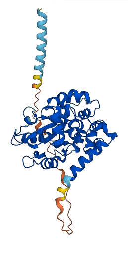 CHST10 3D structure