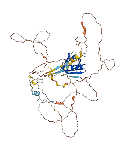 FRS3 3D structure