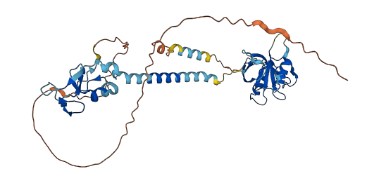 RNF13 3D structure
