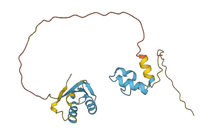 DENR 3D structure