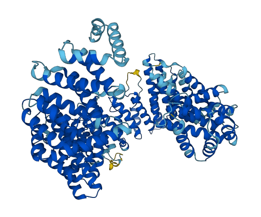 XPOT 3D structure