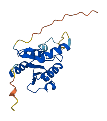 DNPH1 3D structure