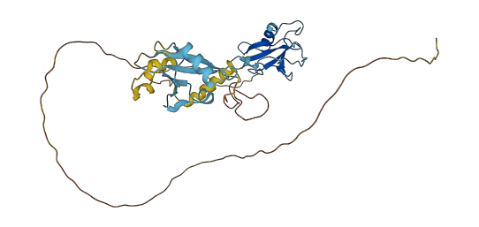 DCX 3D structure