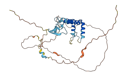 SPRY1 3D structure