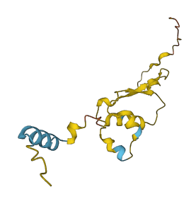 HCRT 3D structure