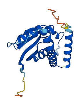 TRAPPC3 3D structure