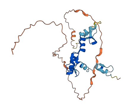 SNAI2 3D structure