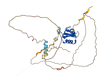 FOXS1 3D structure