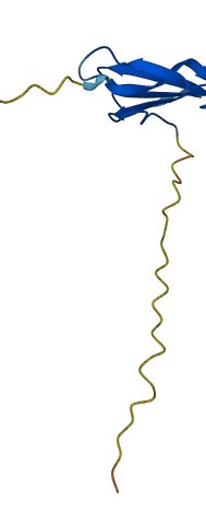 PSCA 3D structure