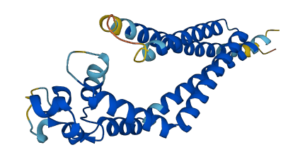 TSPAN6 3D structure