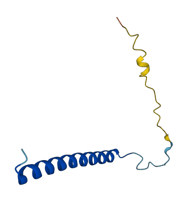 NDUFC1 3D structure