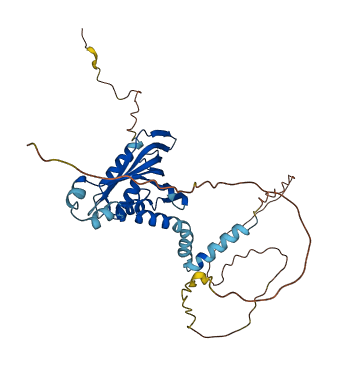 LDB2 3D structure