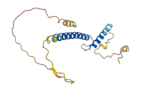 TCF21 3D structure