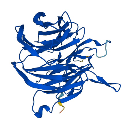 BUB3 3D structure
