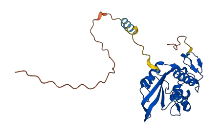 PI15 3D structure