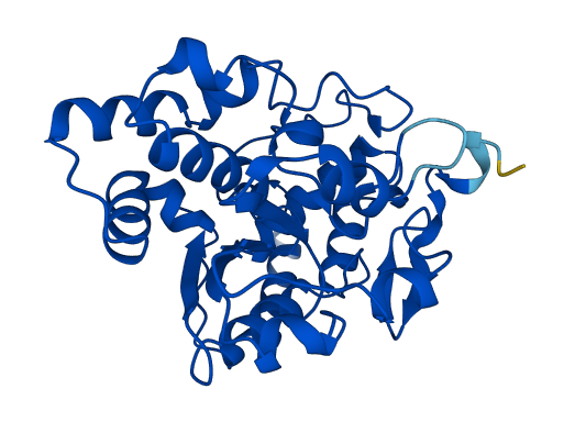 SULT1B1 3D structure