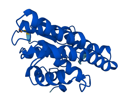 GSTZ1 3D structure