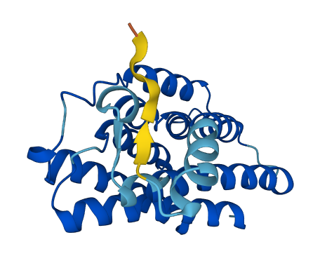 KDELR3 3D structure