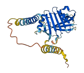 ITM2A 3D structure