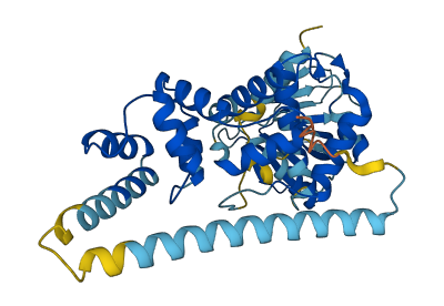 CYTH3 3D structure