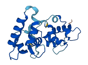 CHP2 3D structure