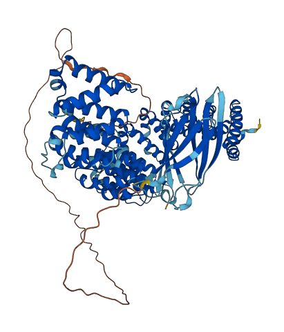 AP1G1 3D structure
