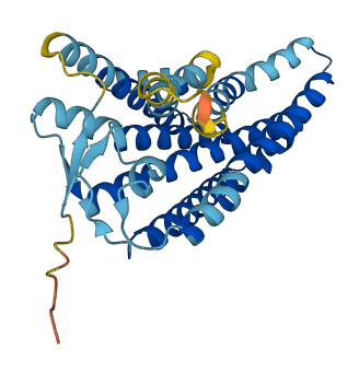 OR1F1 3D structure