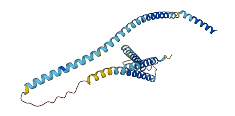 STX6 3D structure