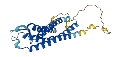 SYNGR1 3D structure