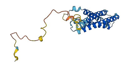 SYNGR2 3D structure