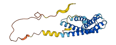 SYNGR3 3D structure