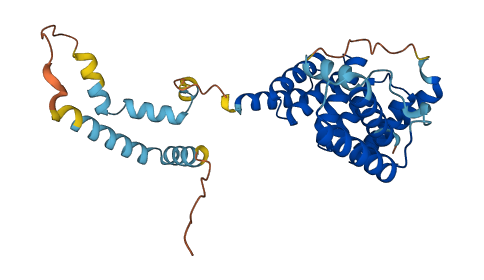 SGTA 3D structure