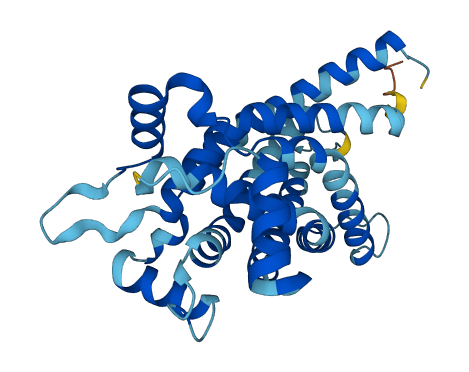 SLC25A20 3D structure