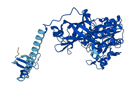 NARS1 3D structure