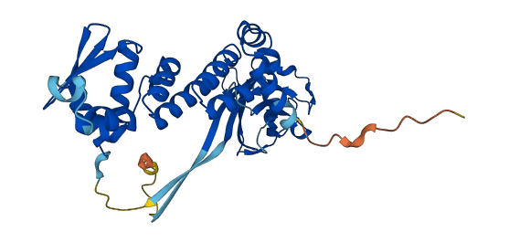 SPOP 3D structure