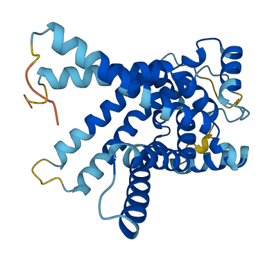 SLC25A17 3D structure