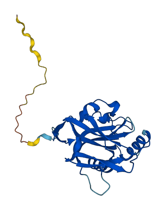 NUDT21 3D structure