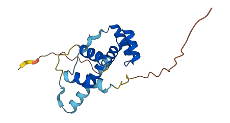 DUX1 3D structure
